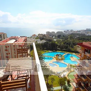 book here